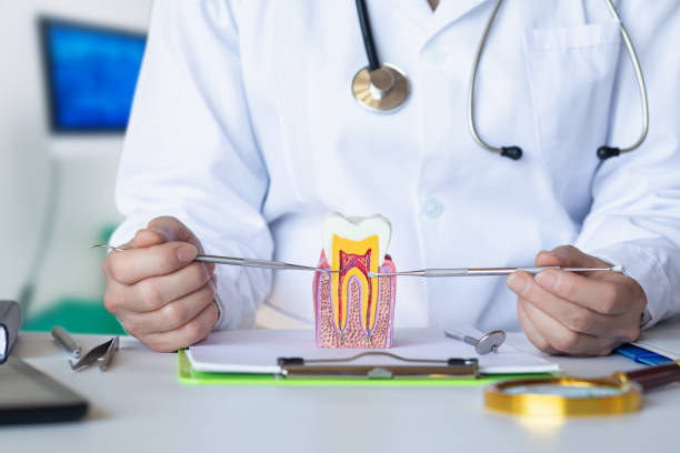 Best Emergency Treatment for Dental Infections or Abscesses in Tiger Point, FL